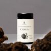 Chaga – Bild 2